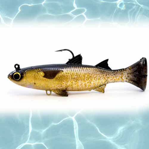 SILVER MULLET