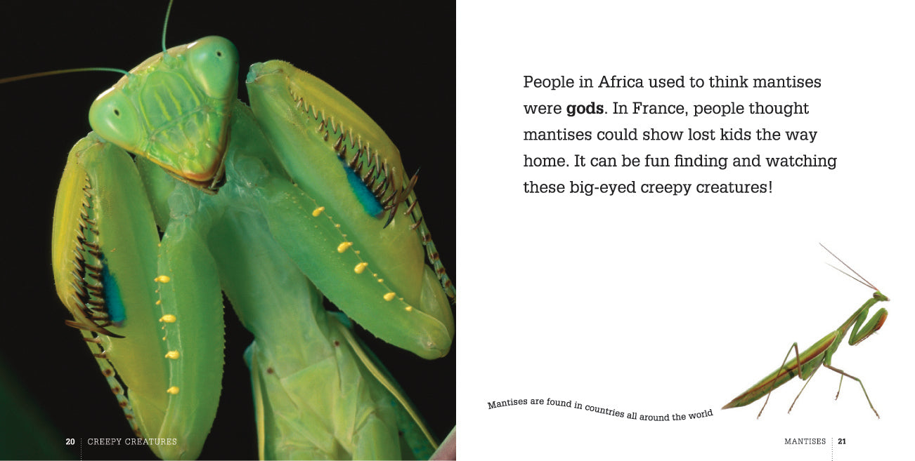 Praying Mantis Book - 9781583419946 - Insect Guide for Nature Lovers & Science Education
