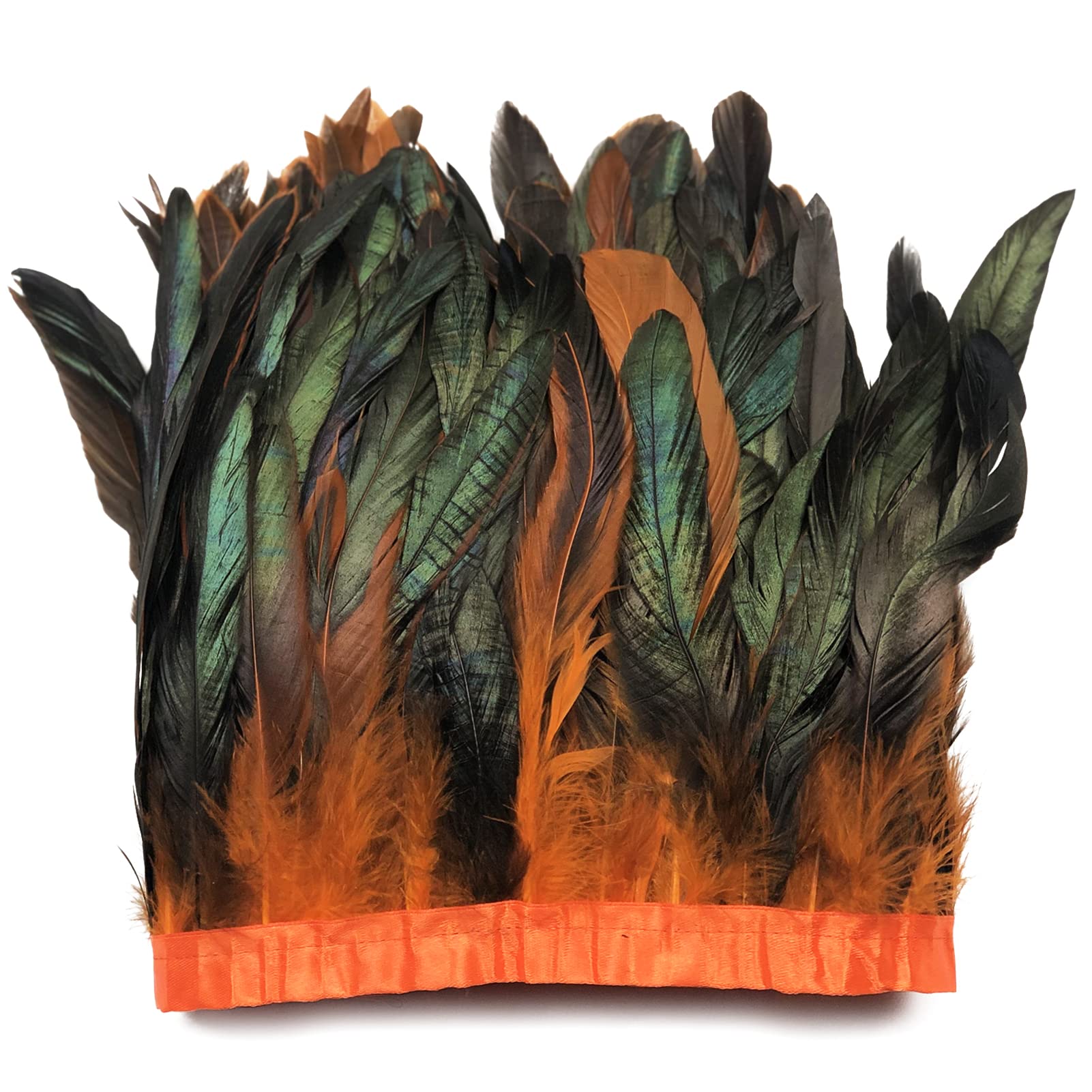 Rooster Feathers 6-8