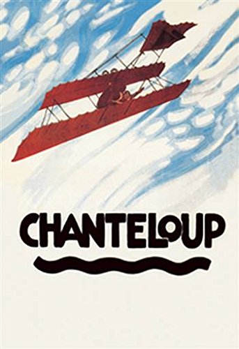360 Peel & Stick Wall Decal - Vintage Biplane in Aerobatic Loop Design (24x36 Inch) - Removable Wall Art for Kids Room, Nursery, Office & Home Decor