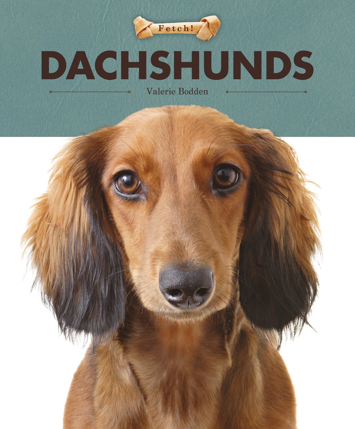 Dachshund Dog Book 978-1-60818-899-4 - Perfect Gift for Dog Lovers & Dachshund Owners