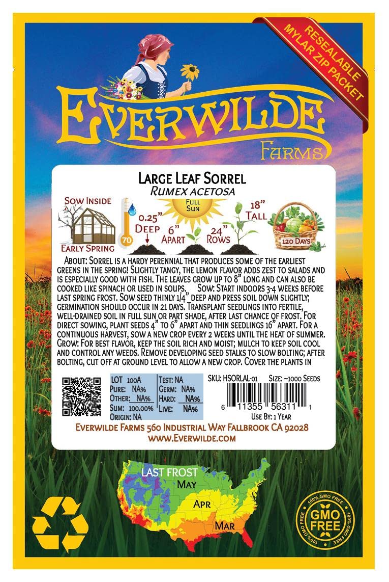 Everwilde Farms - 1000 Large Leaf Sorrel Herb Seeds - Non-GMO, Heirloom, Organic - Gold Vault Jumbo Seed Packet for Gardening, Cooking & Herbal Remedies