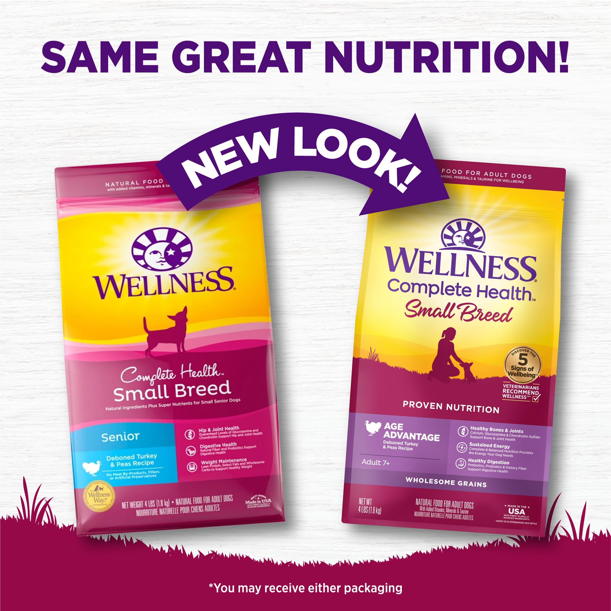 Wellness Complete Health Senior Dry Dog Food for Small Breeds - Natural Turkey & Peas Recipe with Wholesome Grains (4lb Bag) | Perfect for Aging Small Dogs with Digestive Support & Joint Care