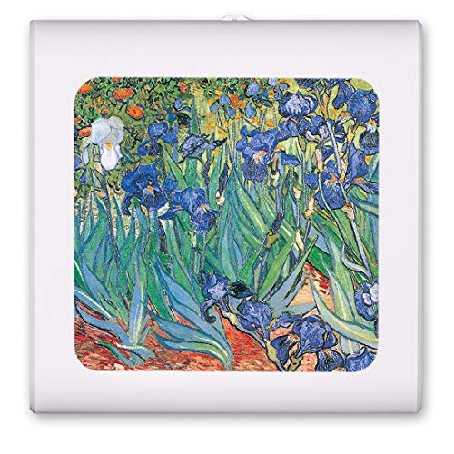 Van Gogh: Irises