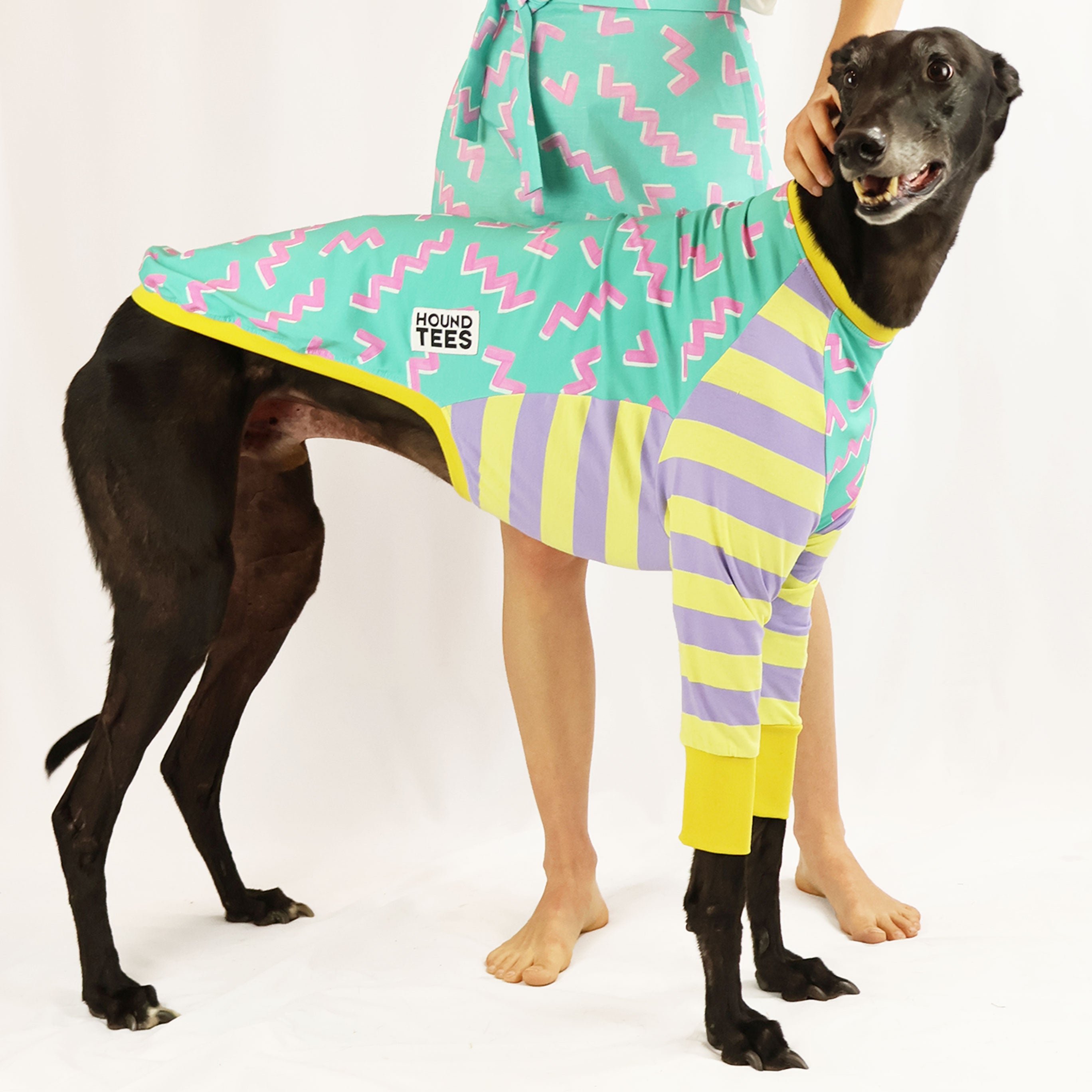 Zag Greyhound Long Sleeve Hound Tee - Comfortable Dog Lover Shirt for Men & Women - Perfect for Casual Wear, Dog Walking & Pet Owner Gifts