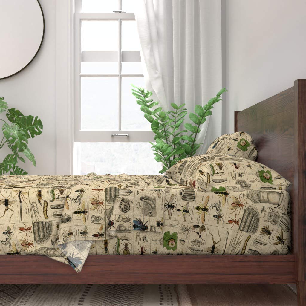 Premium 100% Cotton Twin 3-Piece Sheet Set with Halloween Bugs & Bees Print | Soft Breathable Bedding for Kids & Adults | Perfect for Entomology Lovers, Dorm Rooms & Themed Bedrooms