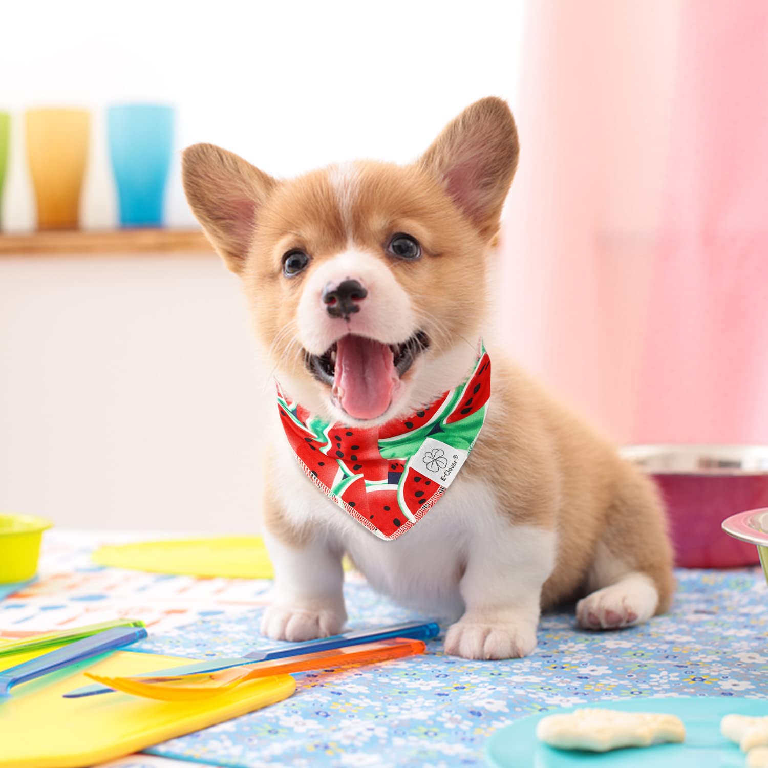 E-Clover Summer Dog Bandanas & Matching Scrunchie Set - Washable Dog Bandana Bibs & Kerchief Scarf for Small Dogs & Puppies - Watermelon Print - Perfect for Pet Outings, Photo Shoots & Matching with Owner