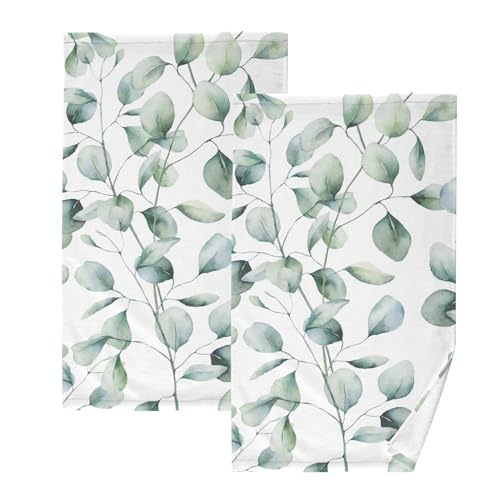 Tropical Plant Eucalyptus Leaves
