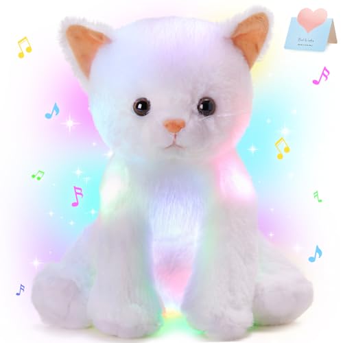 Sitting Cat