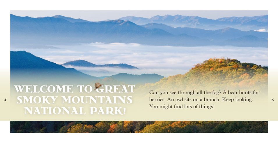 Great Smoky Mountains National Park Guide - Hiking, Camping & Scenic Views | Explore Tennessee & North Carolina