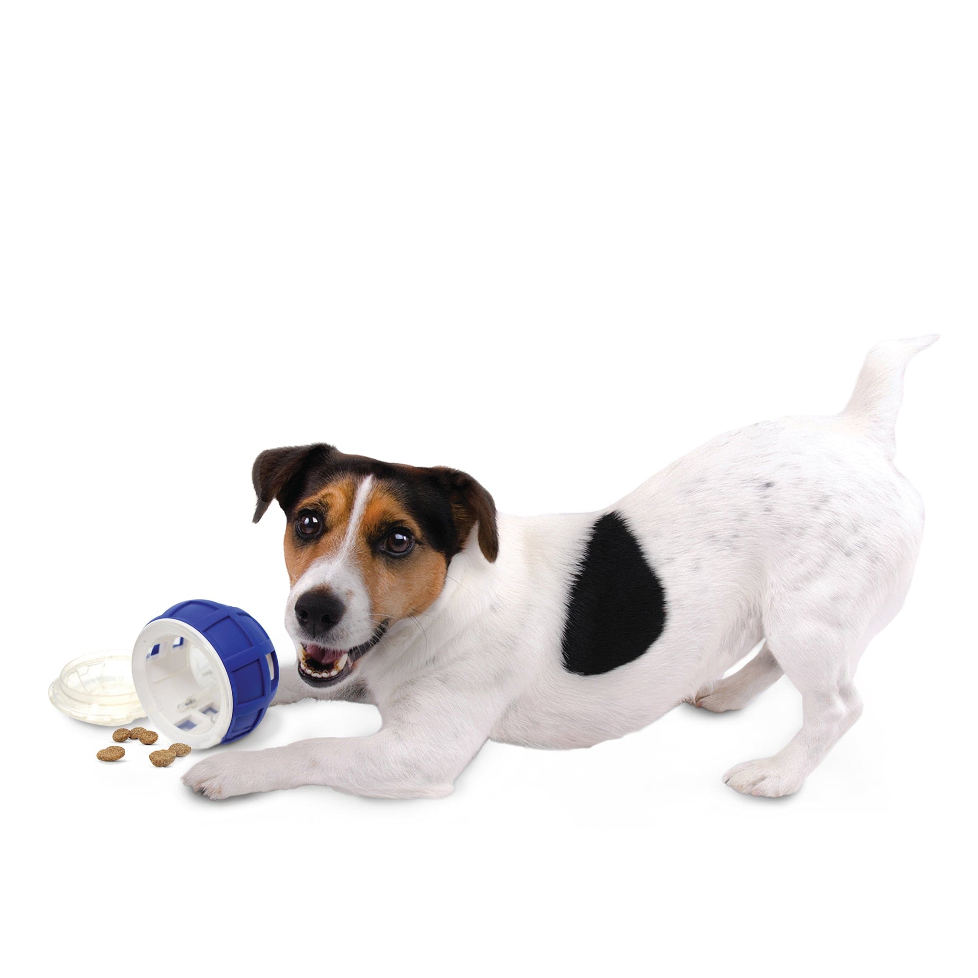 Nerf Dog Puzzle Feeder Toy - Interactive Slow Feeder for Dogs - Mental Stimulation & Fun Mealtime - Perfect for Small, Medium & Large Breeds