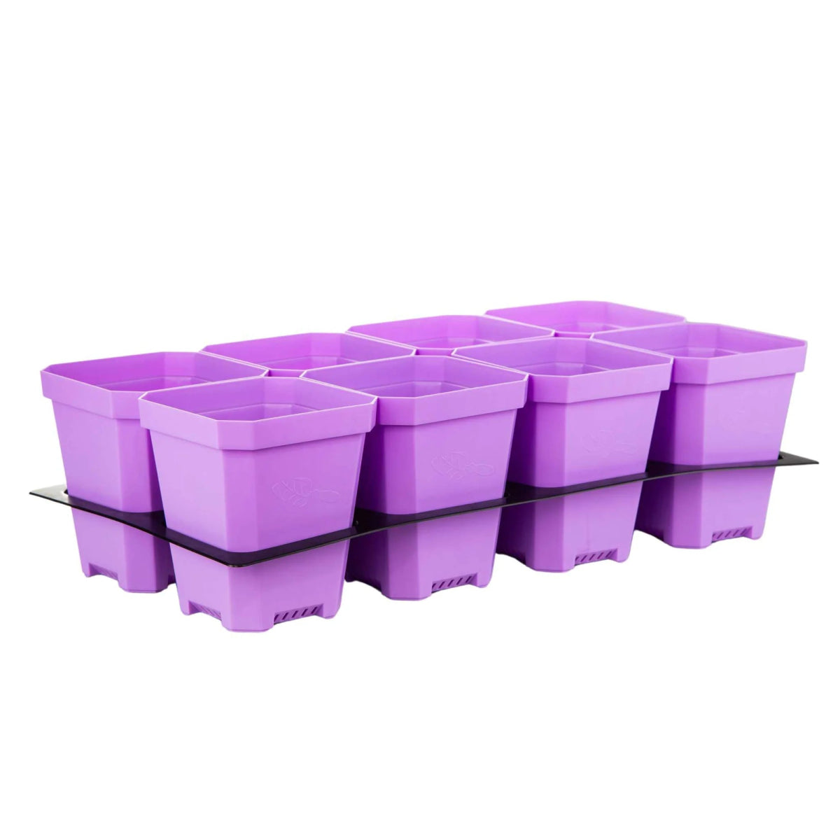 Bootstrap Farmer 5.0 Heavy Duty Seed Starting Pots with Tray Insert - Durable Plant Starter Kit for Indoor Gardening, Greenhouse & Hydroponics - Perfect for Vegetables, Herbs & Flowers