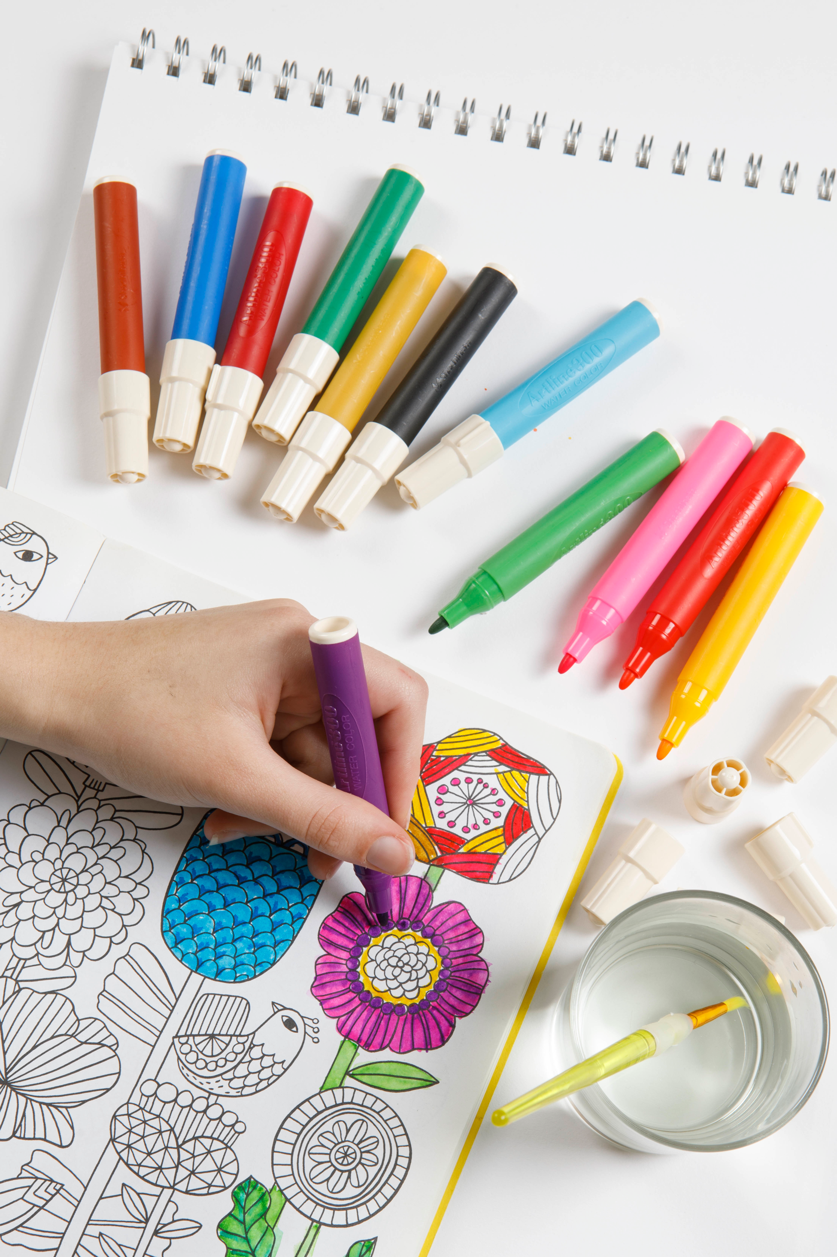 Artline 300 Liquid Crayons - 12 Pack Vibrant Colors for Kids Drawing, Painting & Art Projects - Perfect for School, Home & DIY Crafts