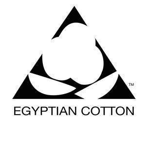 Luxurious 800 Thread Count Egyptian Cotton Fitted Sheet Queen Size (60x80) - Soft Italian Finish, Deep Pocket 7-9 Inches, Navy Blue Solid - Perfect for Master Bedroom, Guest Room & Hotel Luxury Bedding