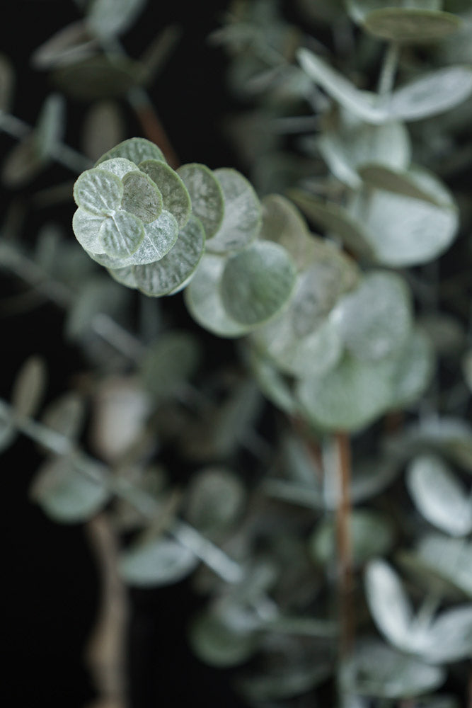 Artificial Eucalyptus Plant in Pot - Realistic Fake Greenery for Home Decor, Office, Wedding & Event Centerpieces