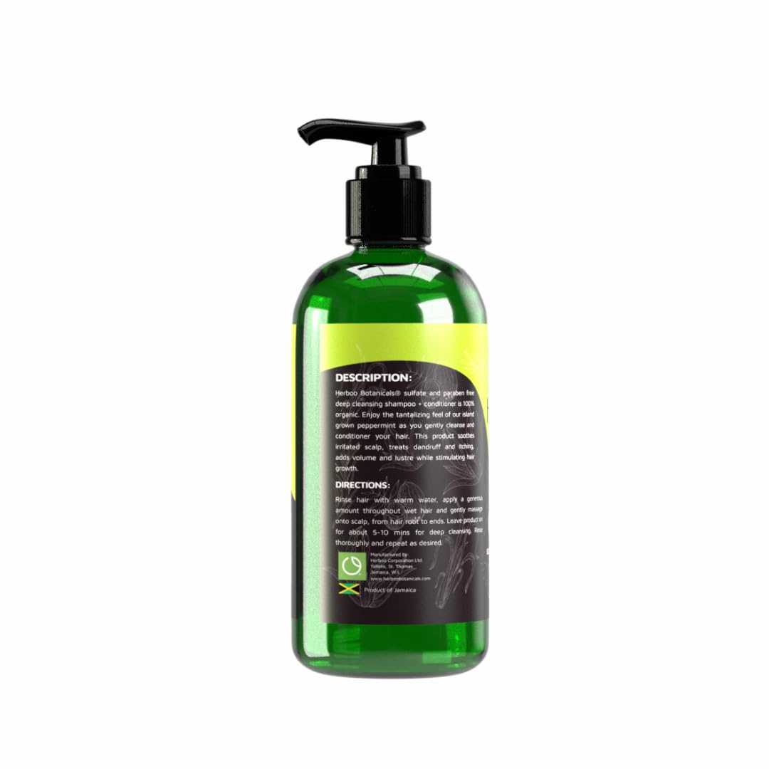 Organic Jamaican Botanicals 2-in-1 Shampoo & Conditioner Set - Natural Hair Care for Curly, Dry & Damaged Hair - Sulfate Free & Vegan for Daily Moisturizing & Scalp Nourishment