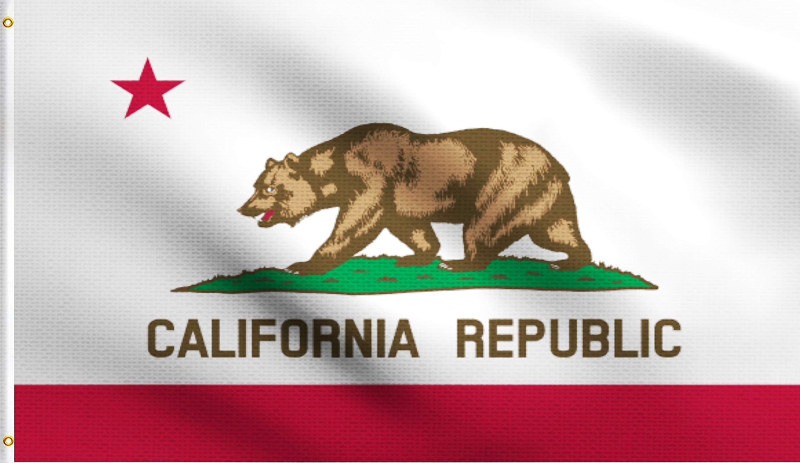 DMSE California State Bear Flag 4x6 FT - 100% Polyester 100D UV Resistant Outdoor Flag - Perfect for Home, Garden, and Patriotic Events