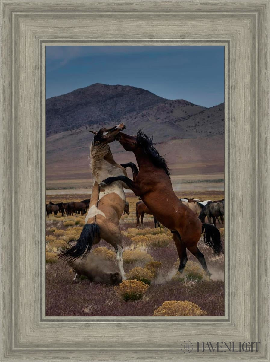 Desert Duel 1 by Greg Sargent - Western Adventure Novel for Adults | Perfect for Book Clubs, Gifts & Western Fiction Fans