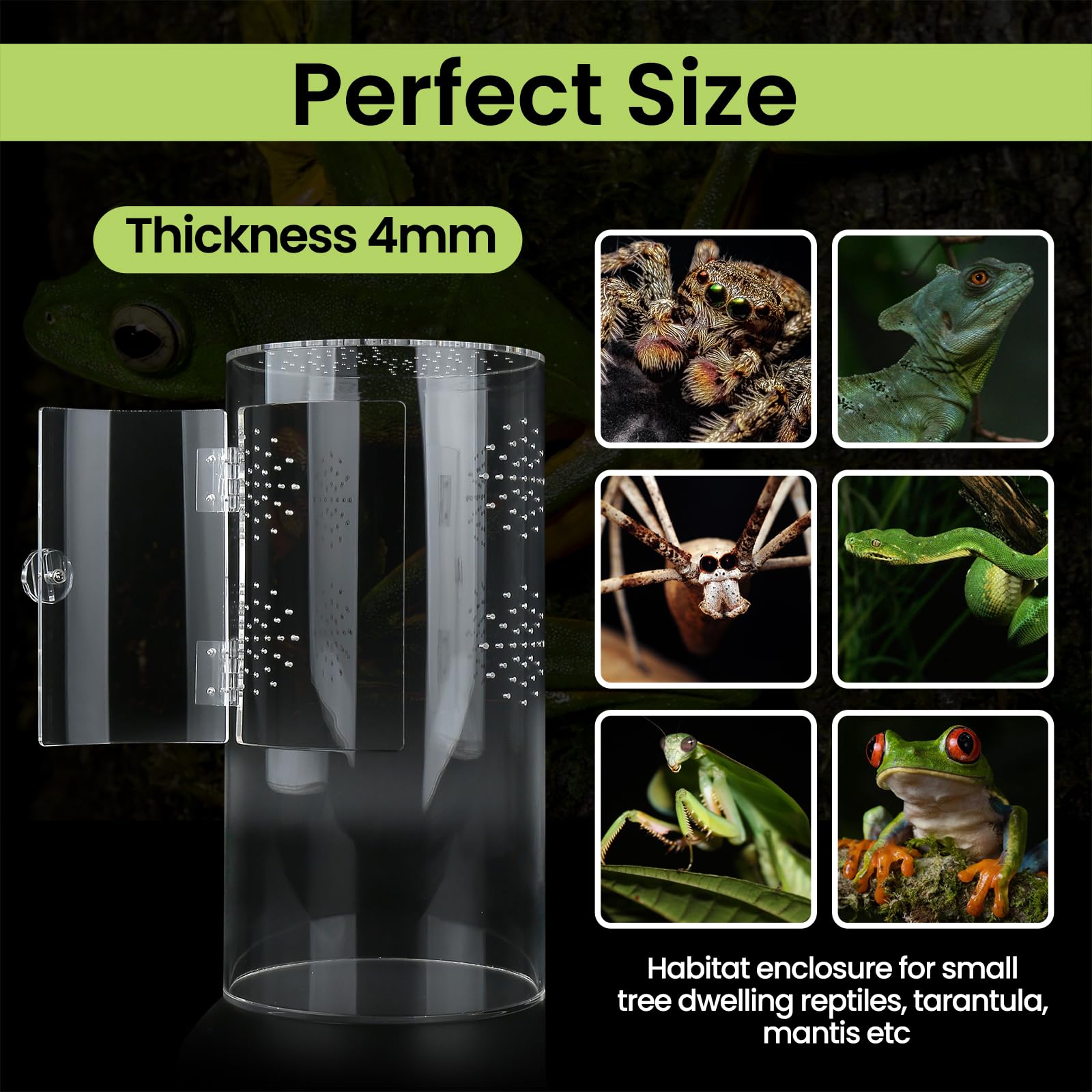 Front Opening Terrarium for Jumping Spiders & Arboreal Tarantulas - 12x6x6 Inch Tall Acrylic Reptile Enclosure with Cross Ventilation & Waterproof Design - Perfect for Pet Spiders, Reptile Habitats & Classroom Science Projects