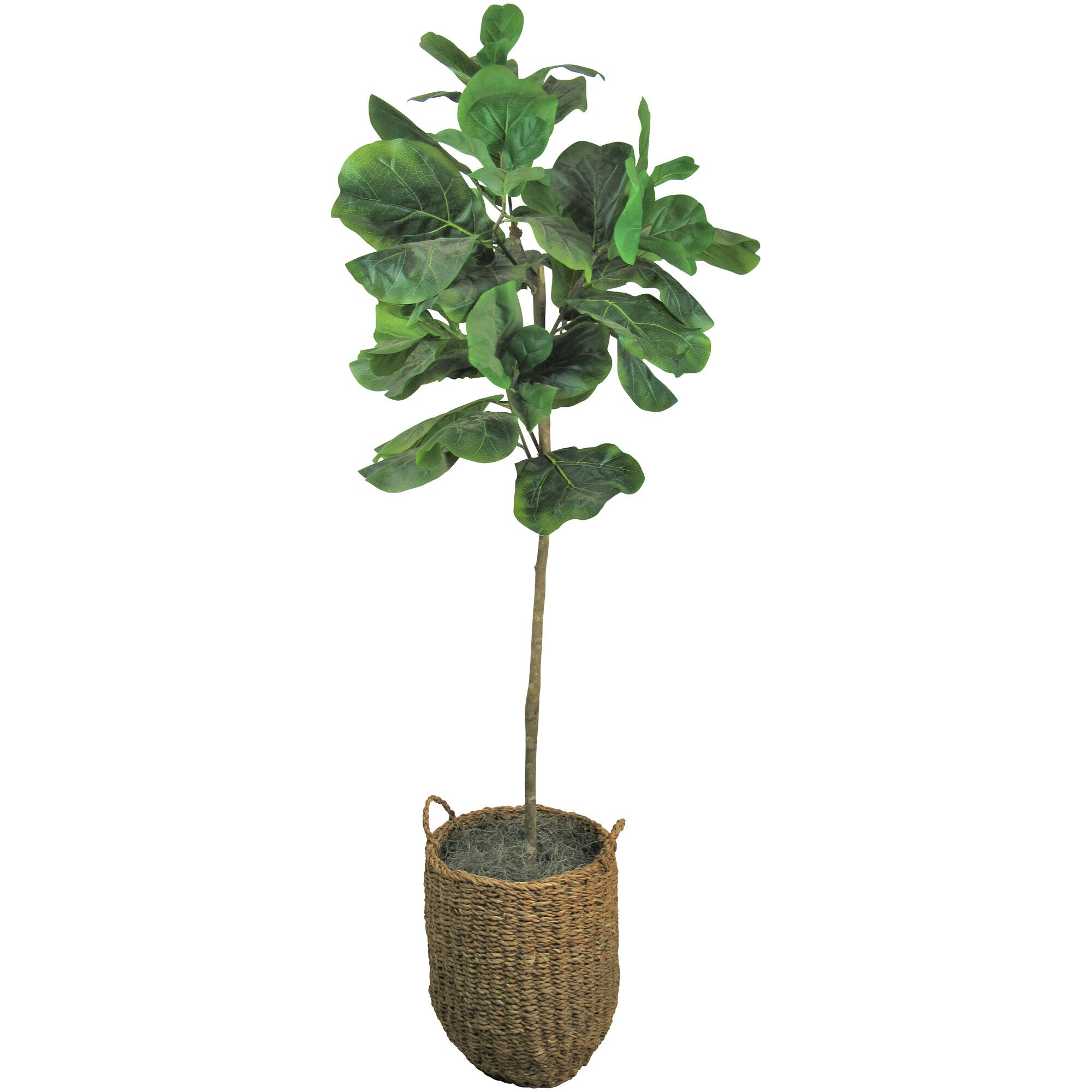 5 Foot Artificial Fig Tree - Realistic Indoor Faux Fiddle Leaf Plant for Home Decor, Office, Living Room - Perfect Housewarming Gift for Plant Lovers
