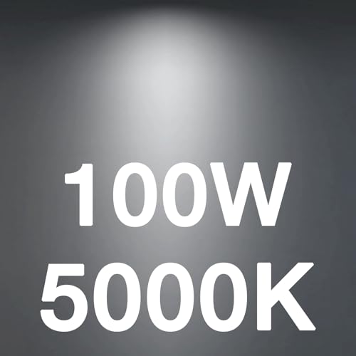 100w Daylight
