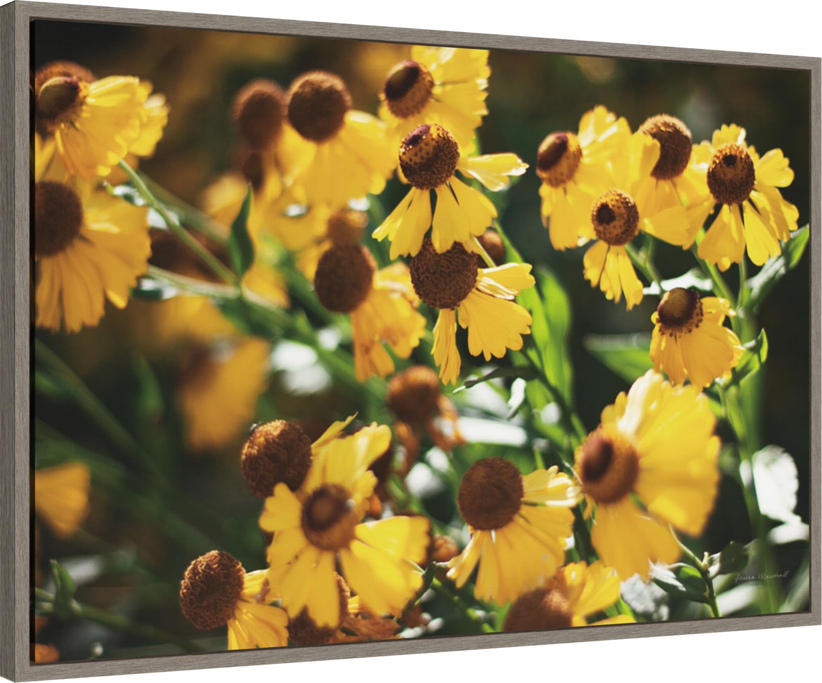 Amanti Art Framed Canvas Wall Art 23x33 - Autumn Flowers II by Laura Marshall, Rustic Floral Painting for Home Decor, Large Framed Poster for Living Room, Bedroom & Bathroom | Perfect for Farmhouse, Country Style Interior Design