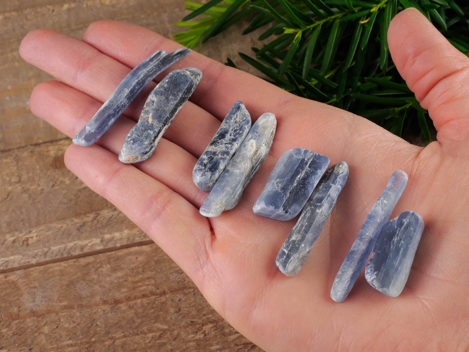 Natural Blue Kyanite Tumbled Stones - Healing Crystals for Meditation, Chakra Balancing & Self Care Gifts (E0012) | Perfect for Reiki, Yoga & Spiritual Wellness
