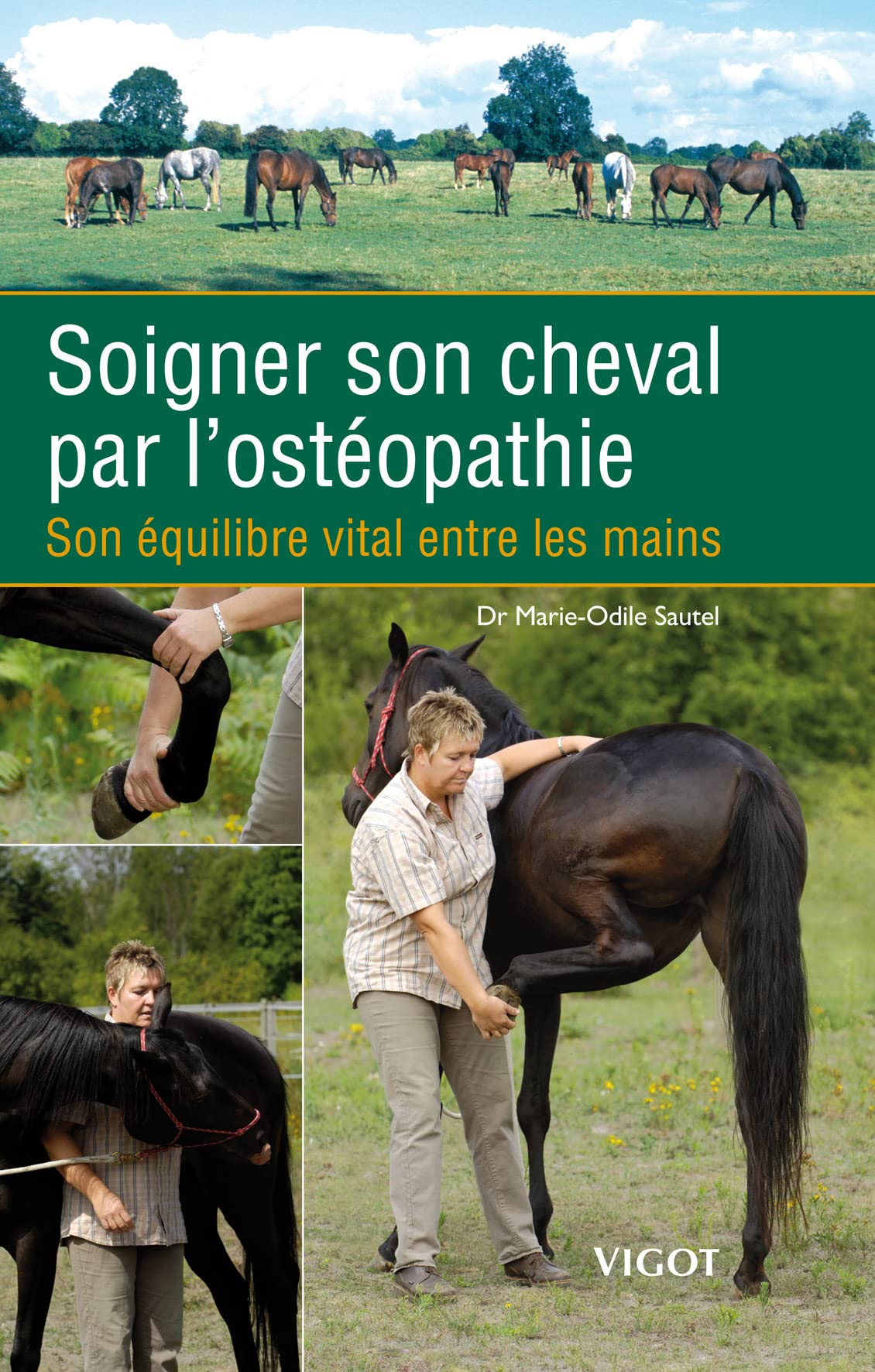 Equine Osteopathy Guide: Balancing Your Horse's Vital Health - Perfect for Horse Owners, Trainers, and Veterinary Care