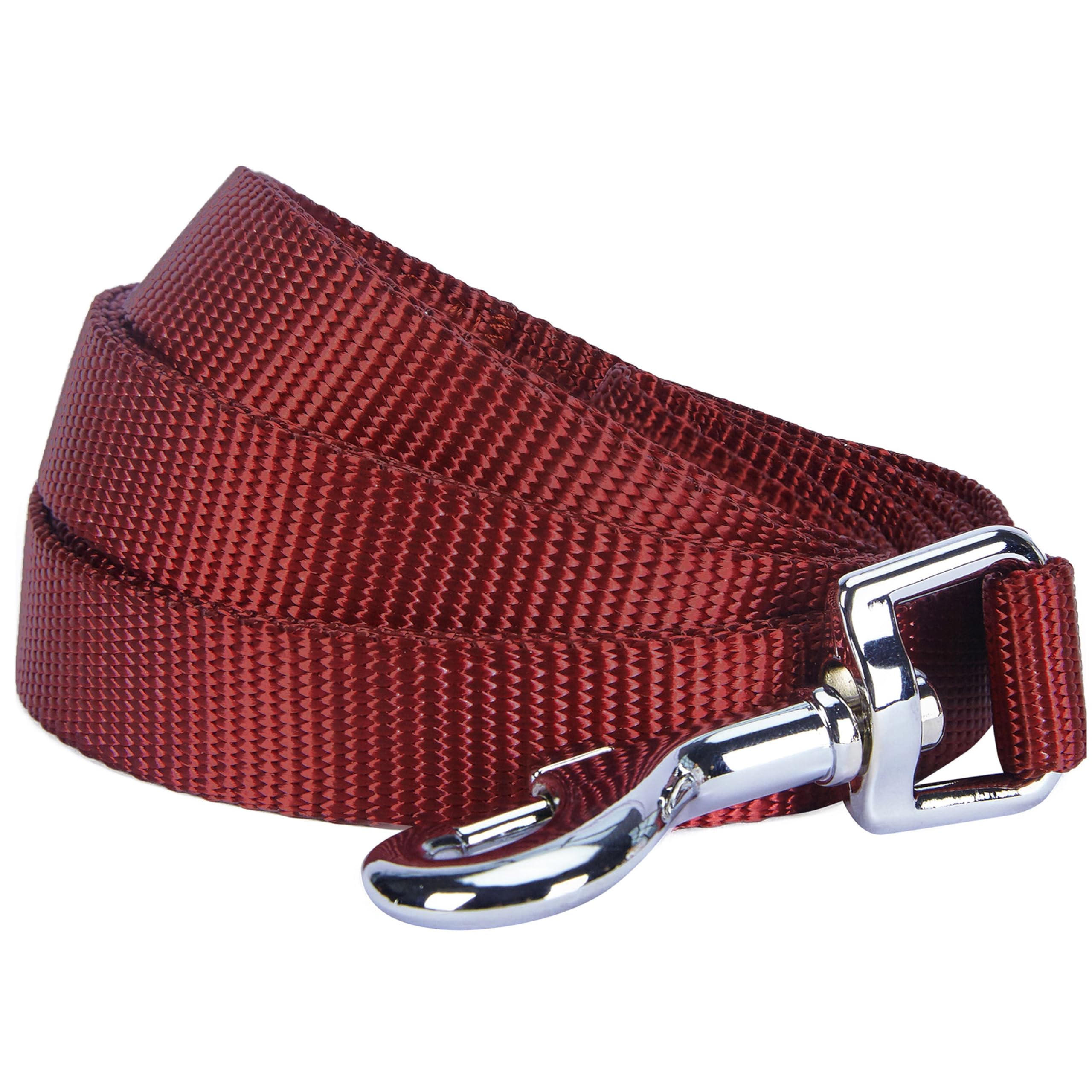 Premium Durable Nylon Dog Leash for Large Dogs - 4ft x 1