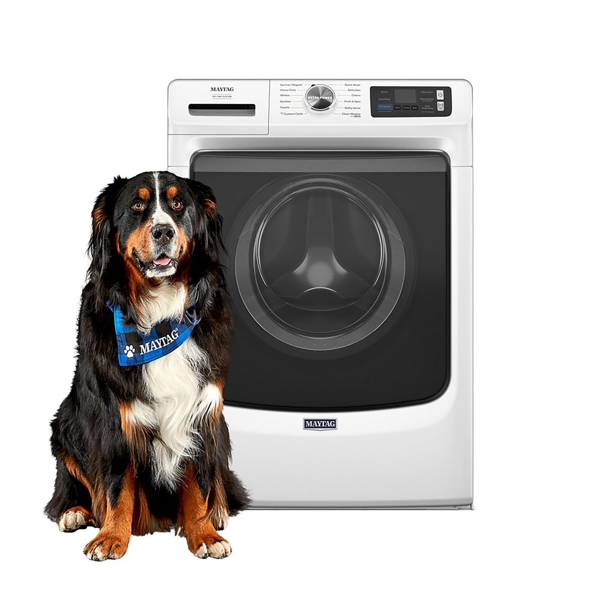 Maytag MFW7020RW 5.8 Cu.Ft. White Front Load Washing Machine with Pet Pro Technology - Perfect for Large Families & Pet Owners, Ideal for Laundry Rooms & Smart Homes