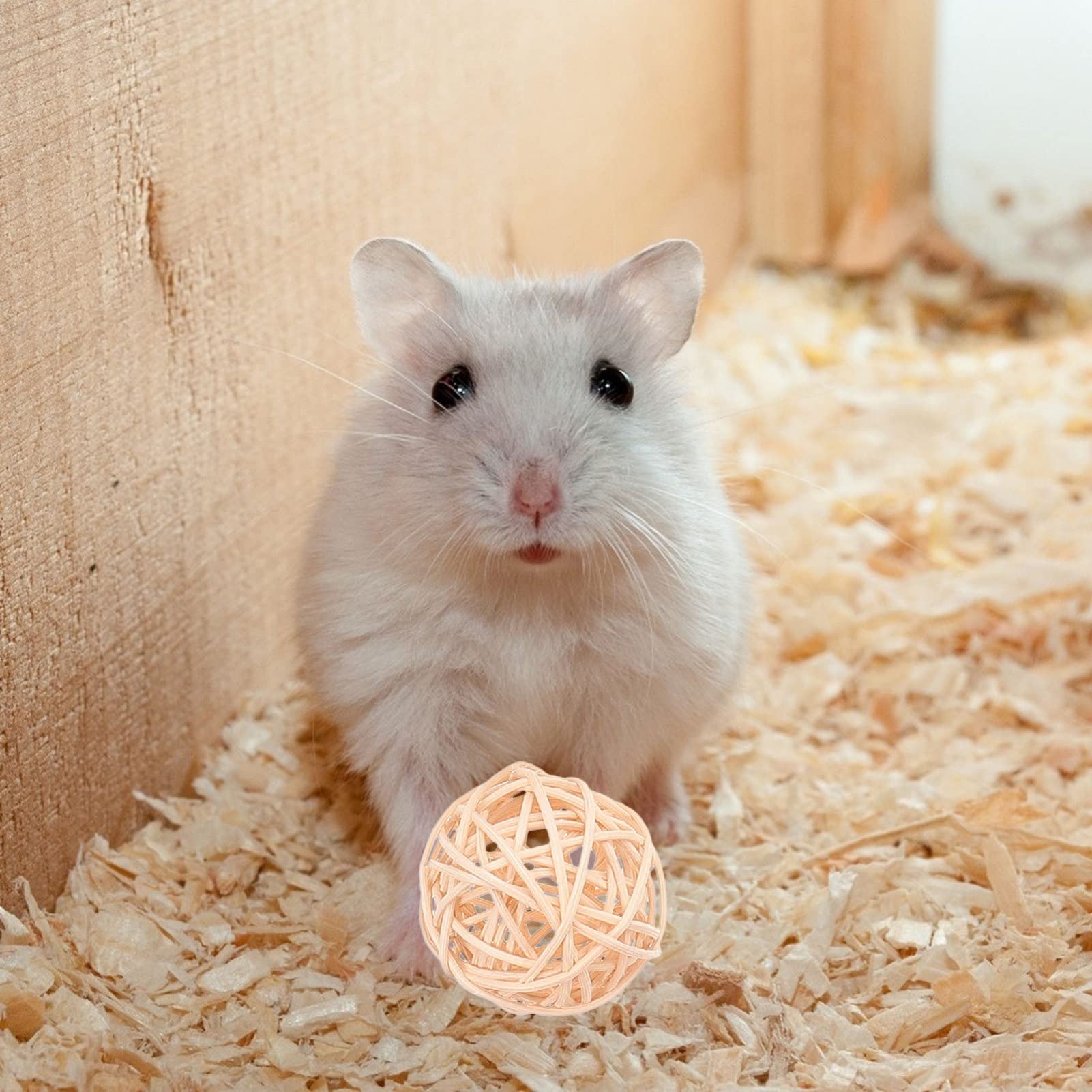 8pcs Hamster Chew Toys for Rabbits & Small Pets - Natural Wooden Molar Teeth Cleaning Toys for Hamsters, Rats & Parrots - Small Animal Dental Care & Biting Plaything for Cage Enrichment