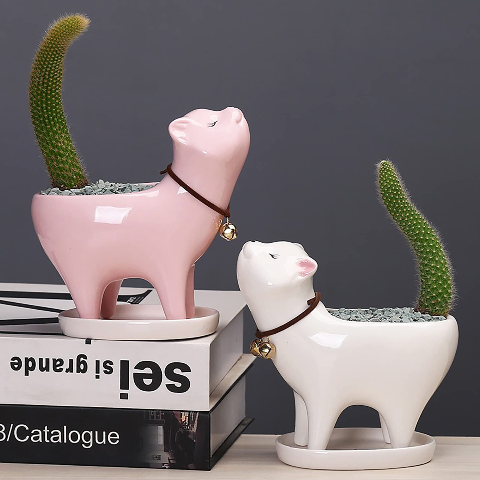 Cute Cartoon Cat Tail Succulent Planter - Multi-Purpose Ceramic Flower Pot for Fairy Palm, Succulents & Small Plants - Perfect for Home Decor, Office Desk & Garden