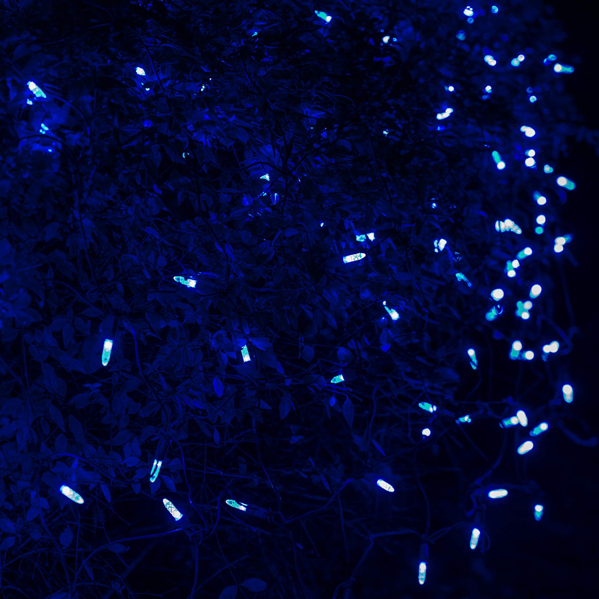 Blue LED Net Lights Outdoor - Wintergreen Holiday & Christmas Decor (4x6ft, 100 LEDs) for Hedges & Trees