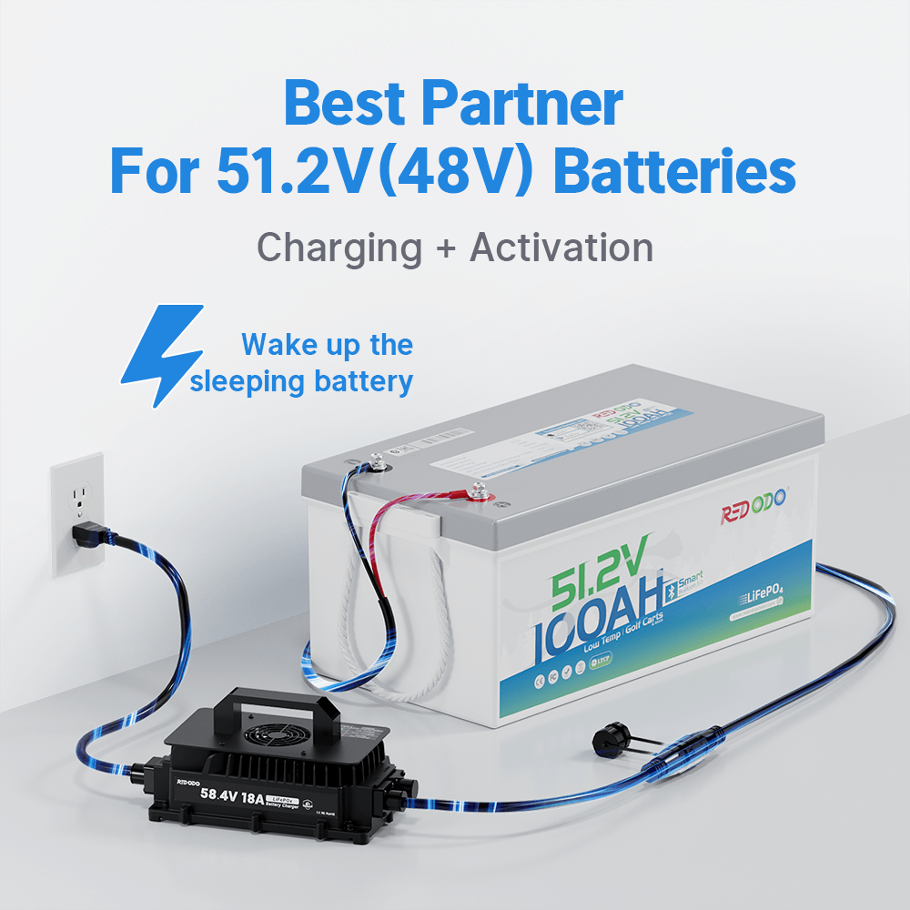 Redodo 58.4V 18A LiFePO4 Battery Charger for 48V (51.2V) Lithium Batteries - Fast Charging, Waterproof & Durable - Perfect for Golf Carts, Solar Systems & Electric Vehicles