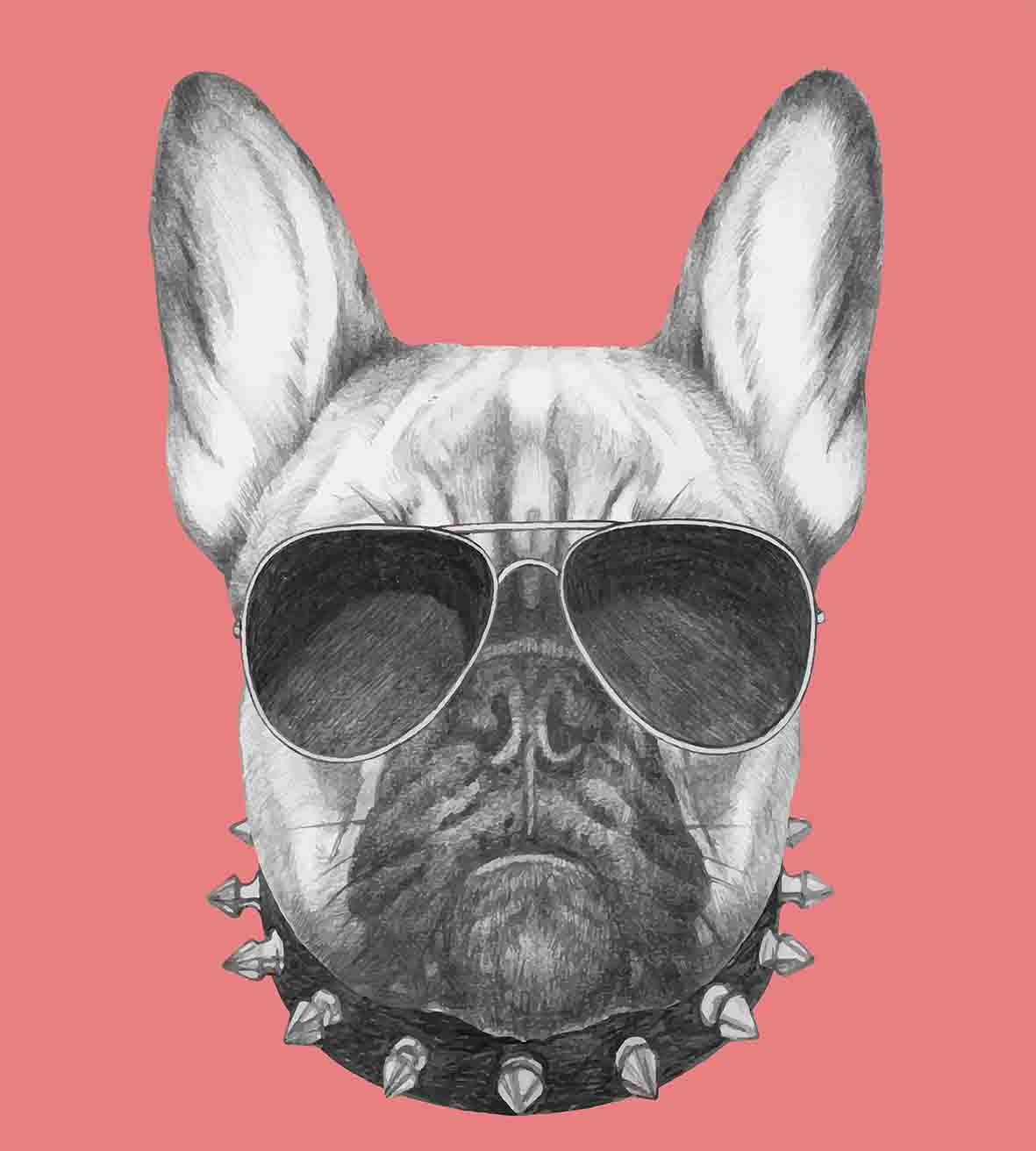 Ambesonne Bulldog Duvet Cover Set - Hand Drawn Dog Portrait with Collar & Sunglasses on Pink Background | 3-Piece Queen Size Bedding Set with 2 Pillow Shams in Black, Grey & Pink | Perfect for Dog Lovers' Bedroom, Guest Room & Unique Home Decor Gift