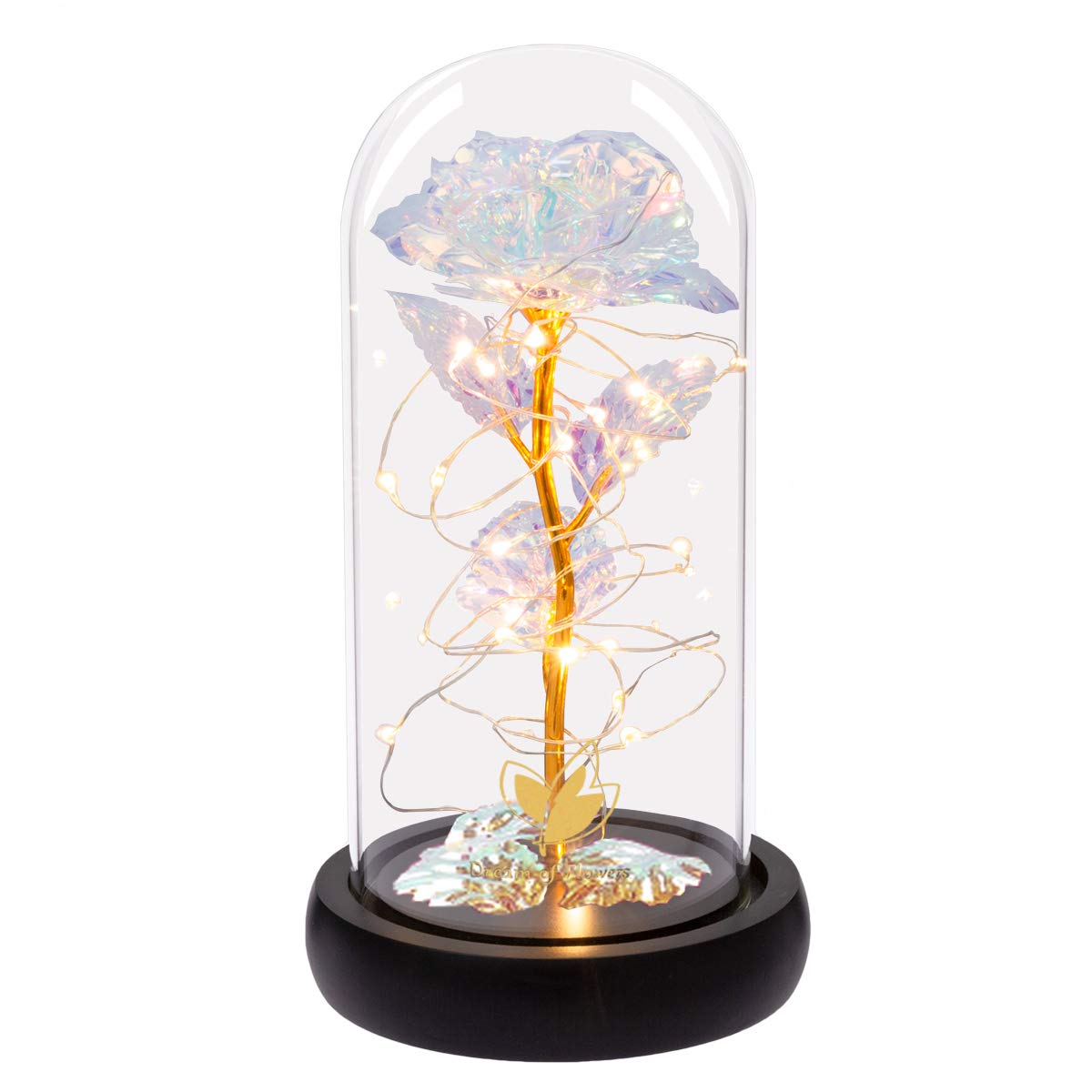 Mother's Day Rose Gifts for Her - Beauty and The Beast Inspired Rose in Glass Dome with Colorful LED Lights, Perfect for Valentine's Day, Anniversary, Birthday, and Home Decor