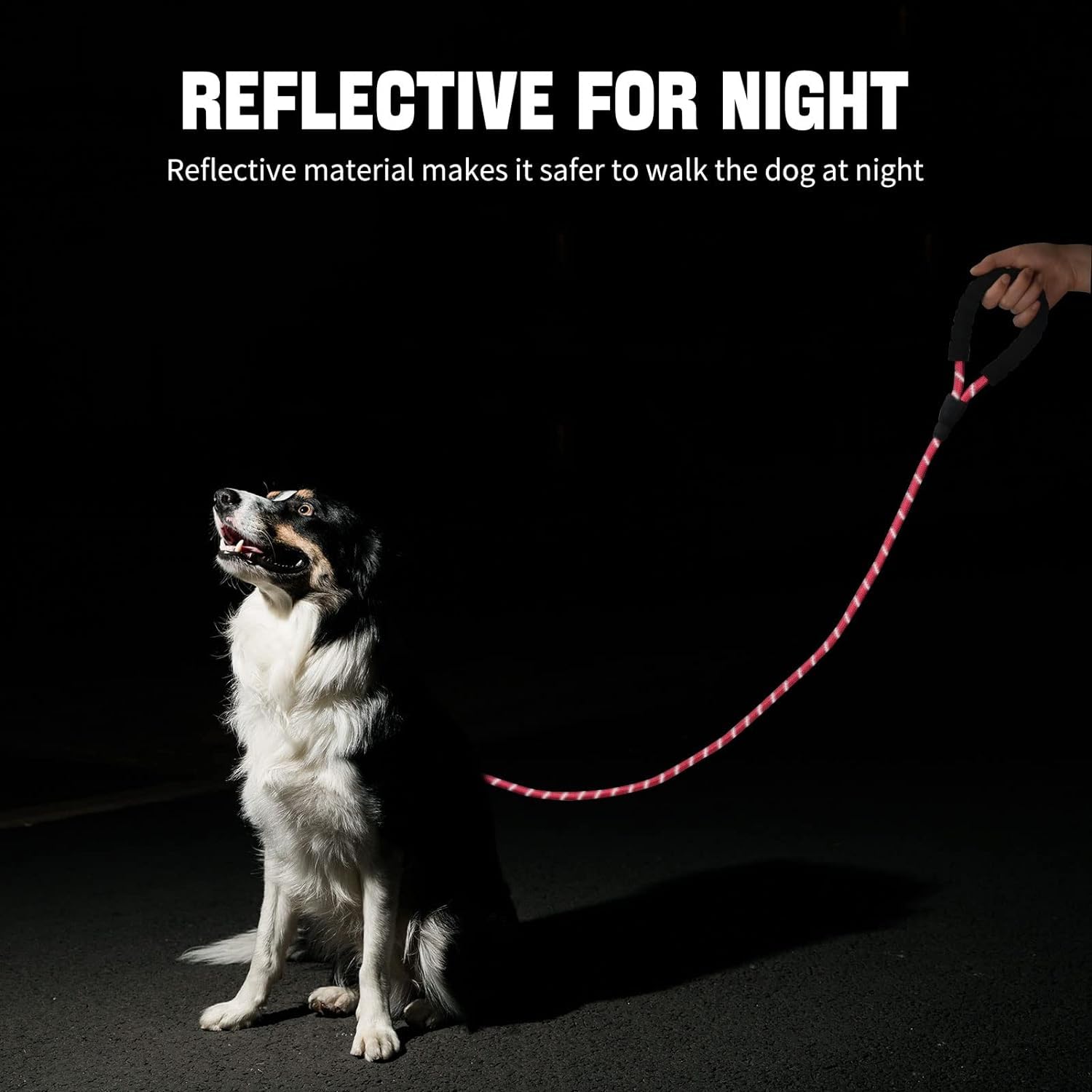 **5FT Reflective Dog Leash for Small to Medium Dogs - Heavy Duty Training & Walking Rope with Soft Padded Handle, Durable Hook - Perfect for Night Walks, Jogging & Outdoor Adventures (Color May Vary)**