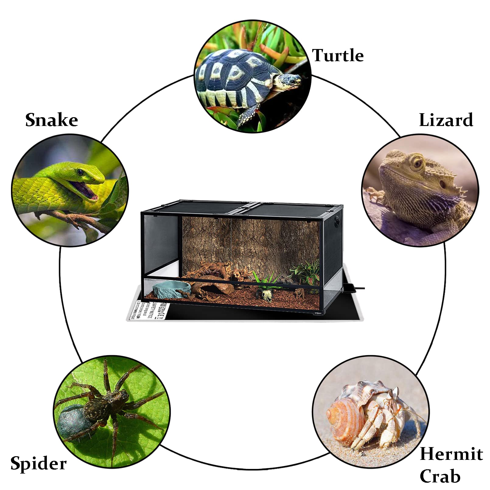 2 Pack Reptile Under Tank Heating Pad - Adjustable Temperature Control, Waterproof Terrarium Heat Mat for Gecko, Snake, Lizard, Turtle, Tortoise, Spider & Frog (11x11 Inch) - Ideal for Tropical & Desert Habitat Enclosures