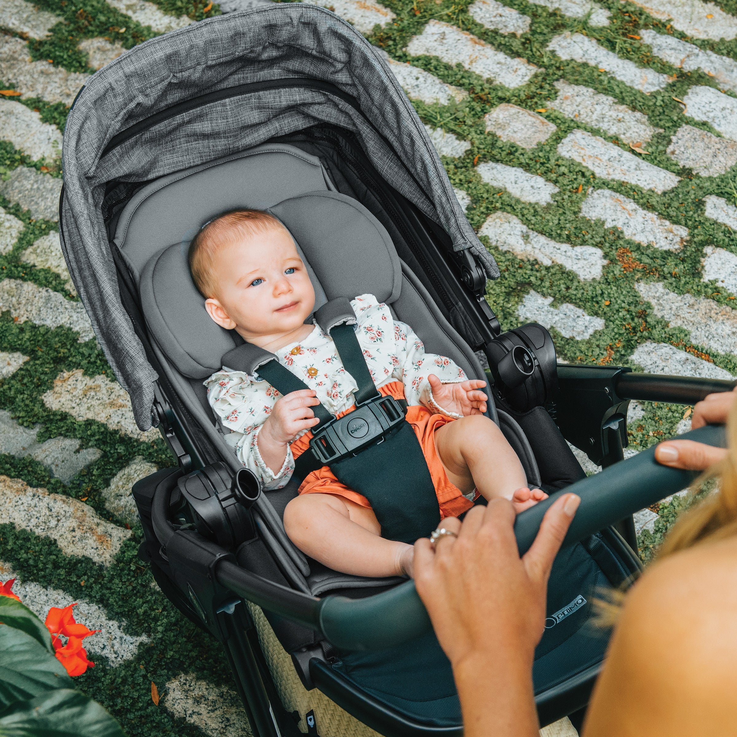 Chicco Corso Primo ClearTex Travel System with Lightweight Stroller & Infant Car Seat - Perfect for Newborns to Toddlers | Ideal for Air Travel, Shopping & Daily Outings