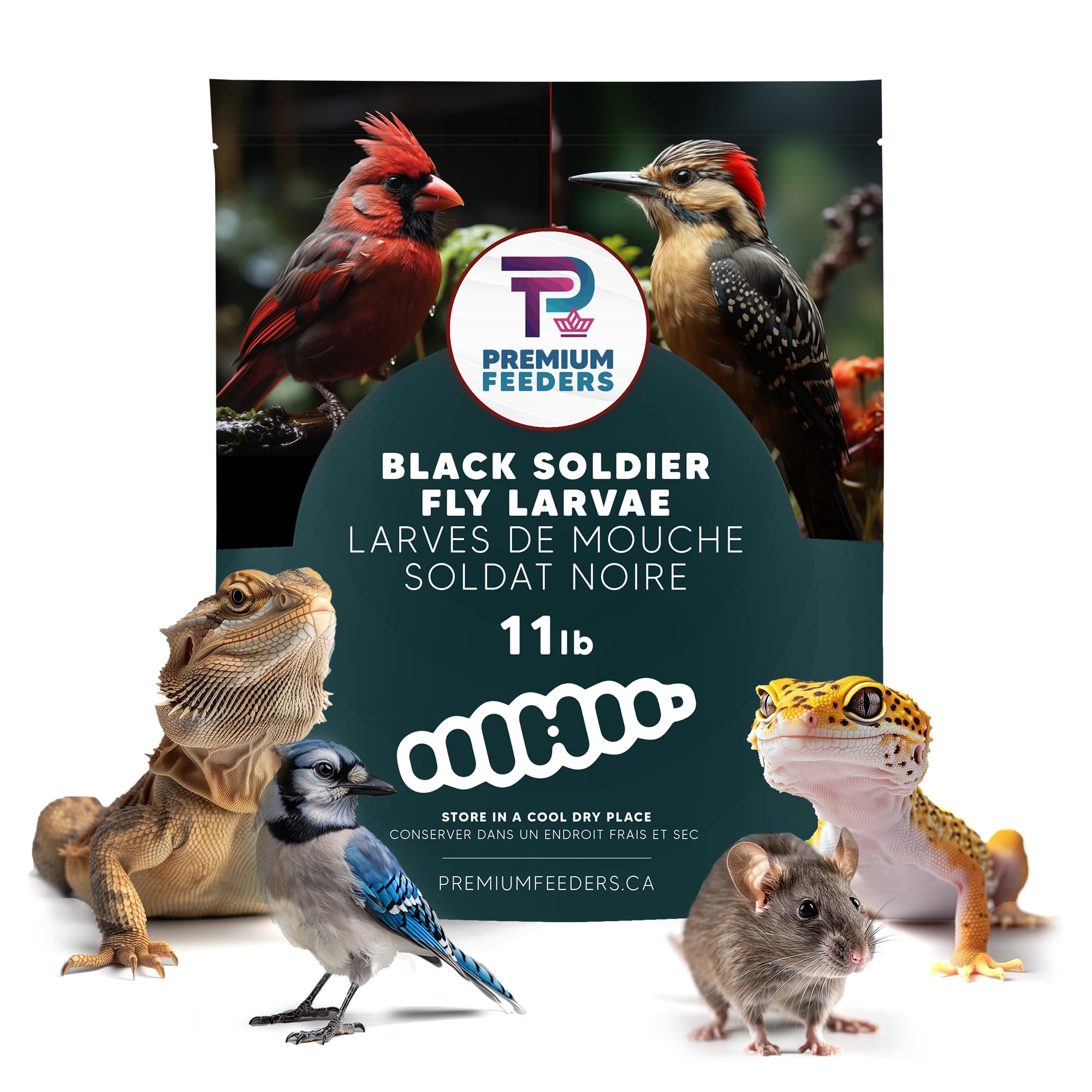 Premium Feeders Dried Black Soldier Fly Larvae - 11lb High Protein & Calcium Natural Pet Food - Healthy Treats for Chickens, Ducks, Birds, Quail, Turtles & Fish - Perfect for Poultry Feeding, Wild Bird Attraction & Aquatic Nutrition