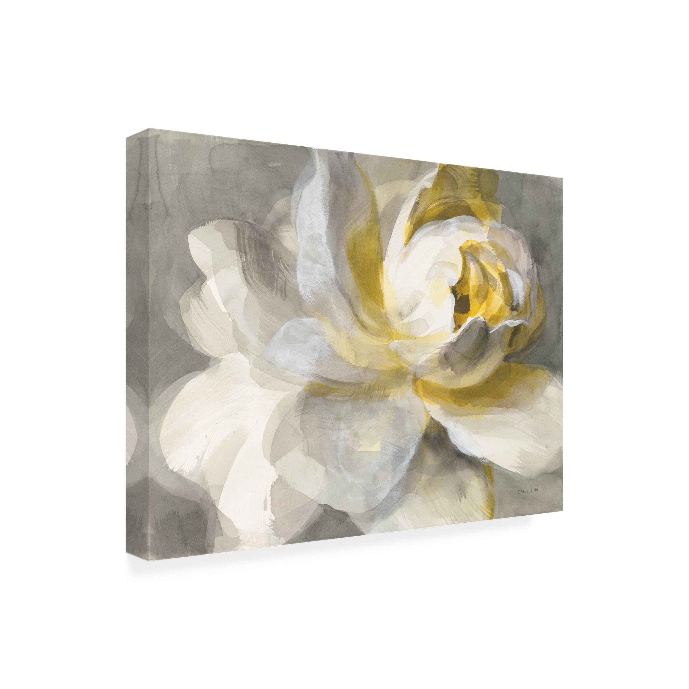 Trademark Fine Art Danhui Nai 'Abstract Rose' Canvas Print - Waterproof UV-Resistant Outdoor Wall Art for Patio, Garden & Poolside Decor