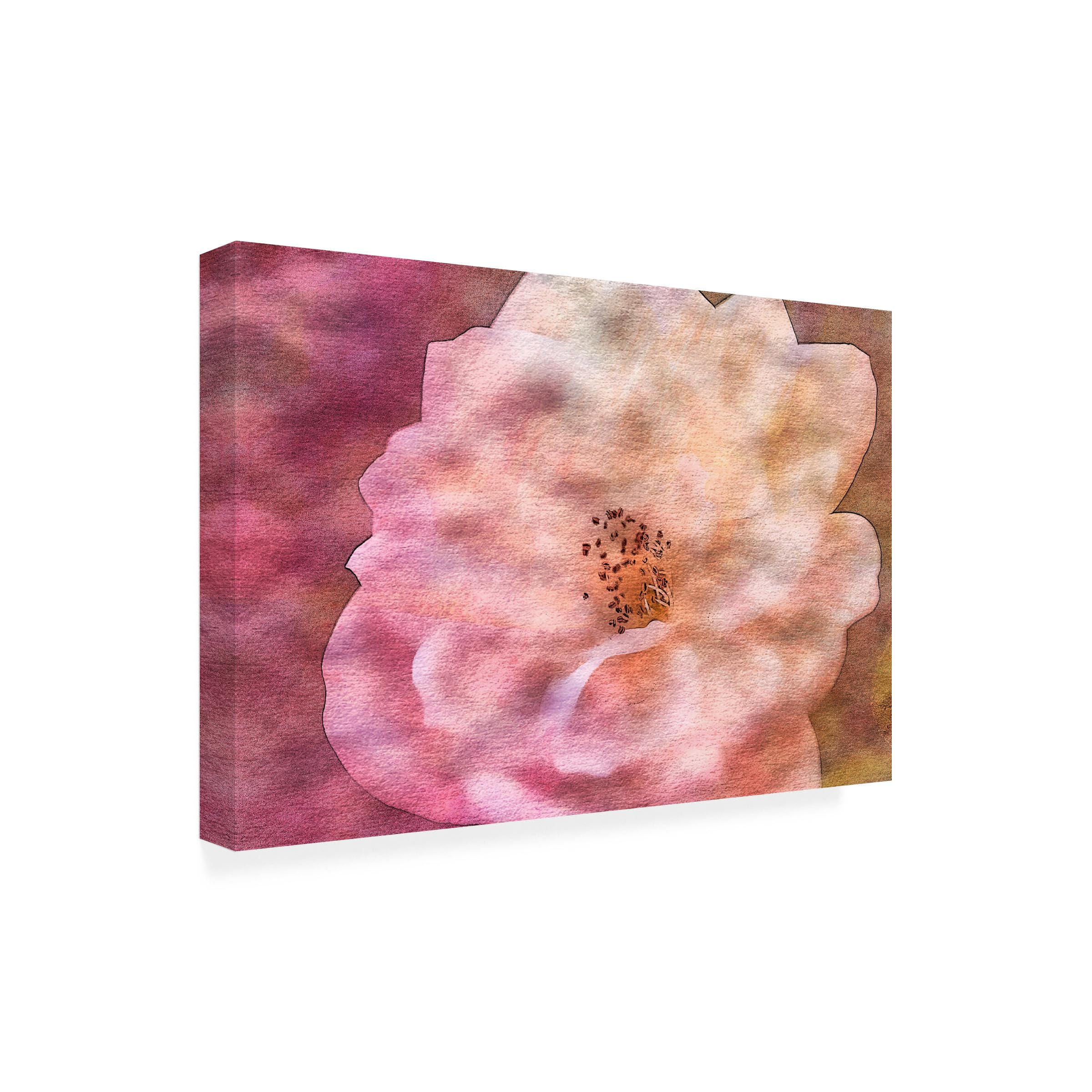 Anita Vincze Roses on Canvas 24