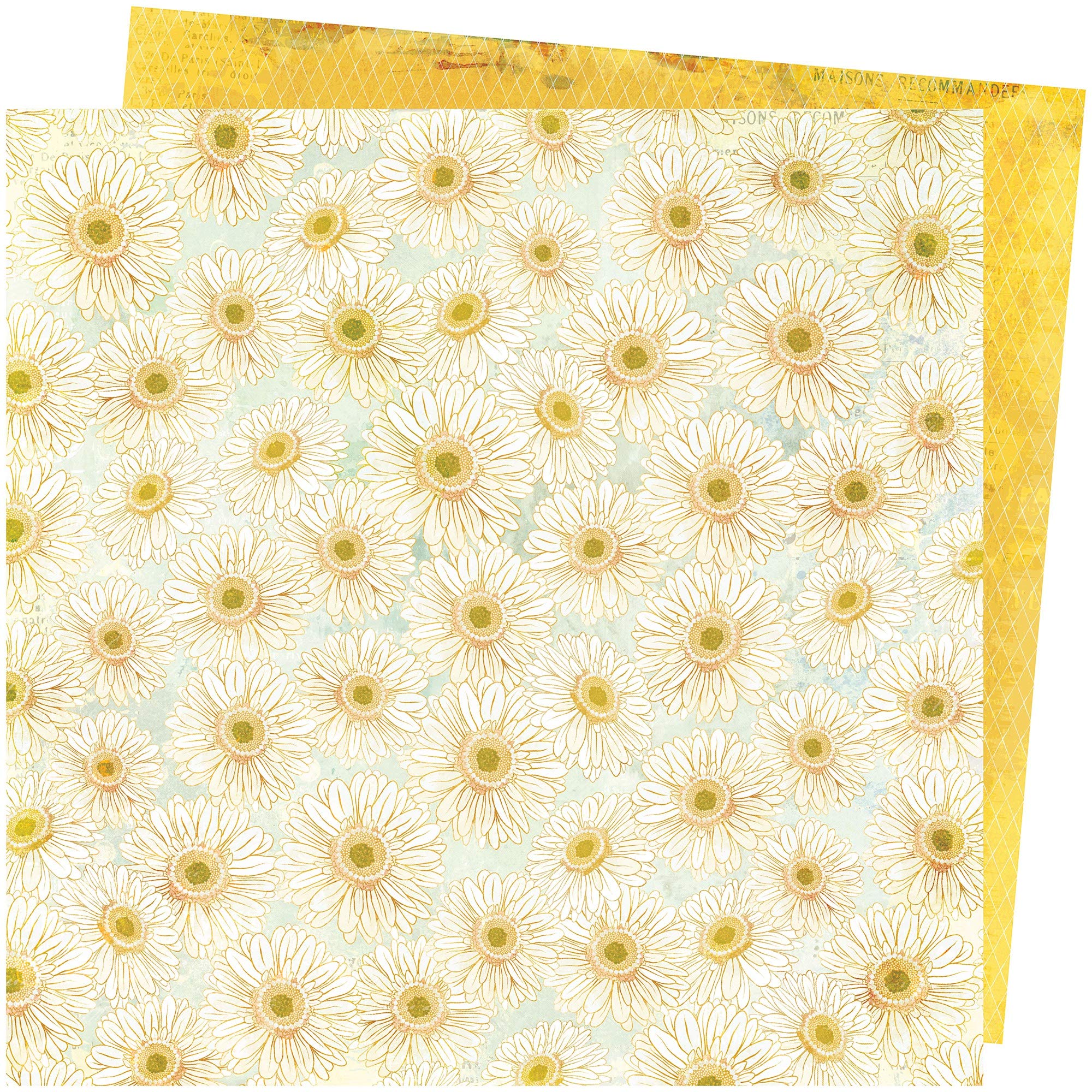 American Crafts Daisies Storyteller Scrapbook Paper 12-Pack - Perfect for Scrapbooking, Card Making, and DIY Craft Projects