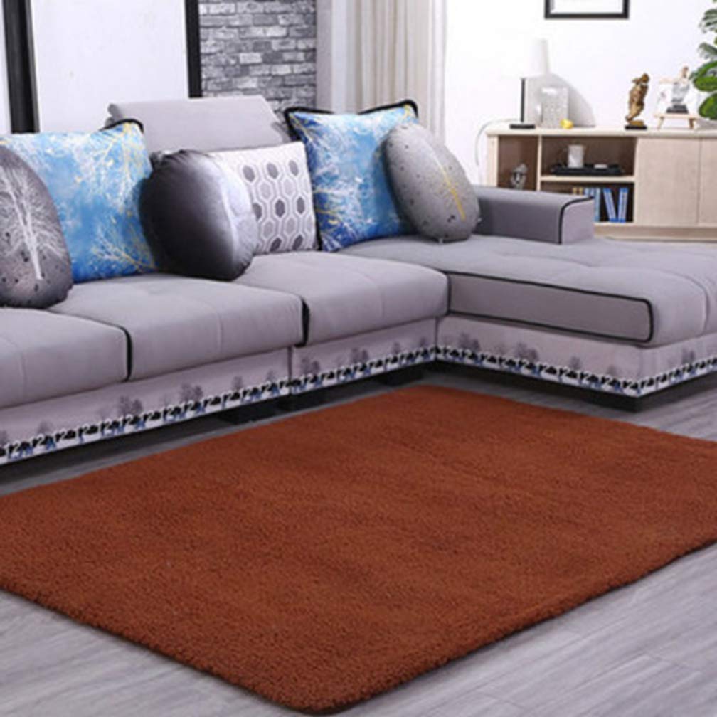 Soft Plush Shag Area Rug 2'x3' - Non-Slip Rectangular Carpet for Living Room, Bedroom, Nursery & Coffee Area - Modern Indoor/Outdoor Home Decor for Kids & Adults (Perfect for Cozy Spaces & High-Traffic Areas)