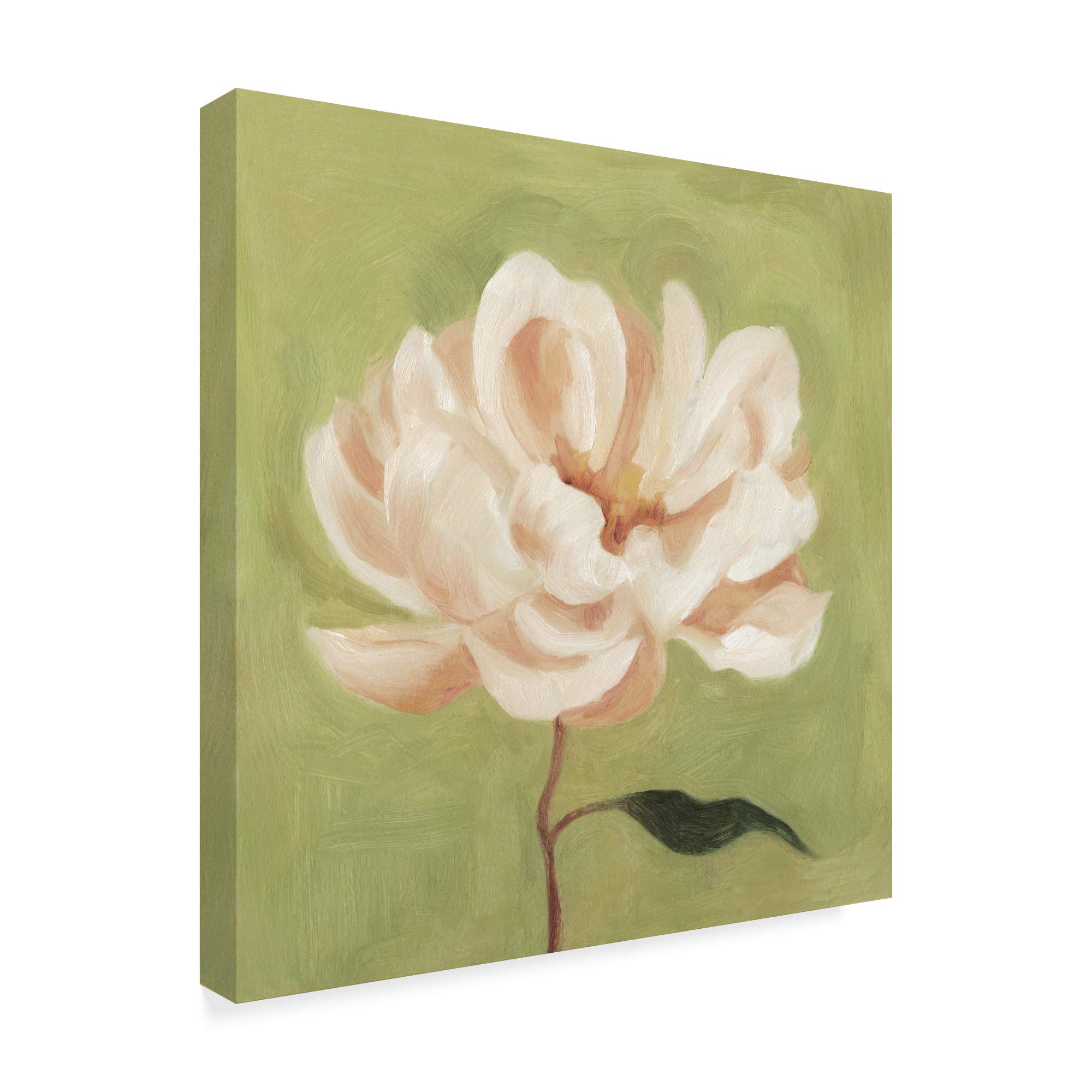 Emma Scarvey Peony on Olive II Fine Art Print - 24x24 Inches Wall Decor for Living Room, Bedroom & Office | Floral Painting for Home & Office Decoration