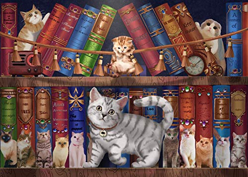 8809-cat on the Shelf