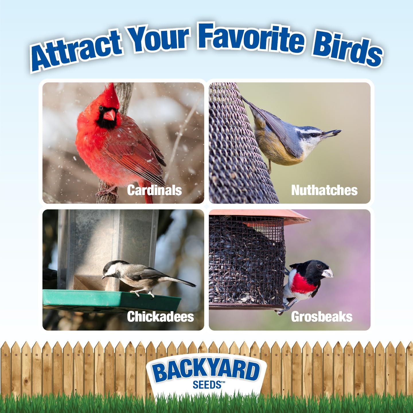 Premium Sunflower Seed Mix for Birds - Black Oil & Striped Sunflower Seeds (5 lb) - Attract Cardinals, Finches & Wild Birds - Perfect for Backyard Feeders & Bird Watching