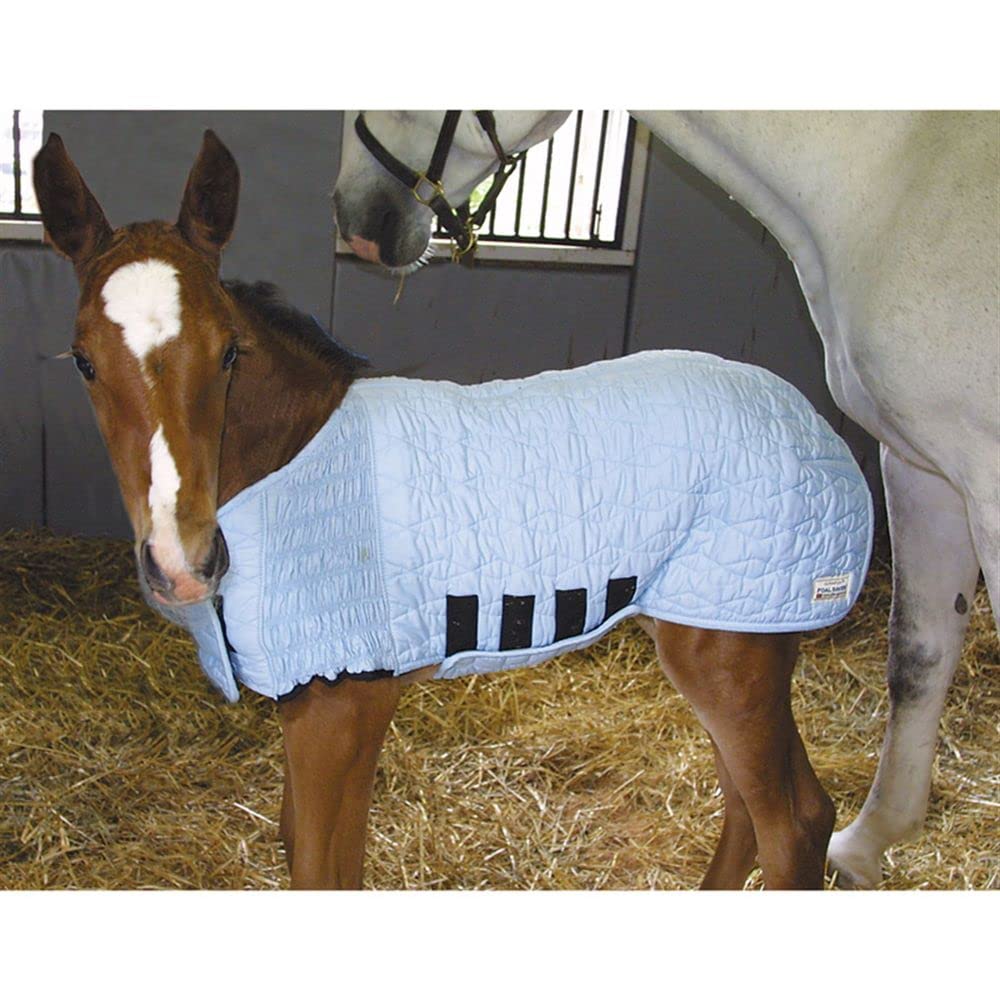 UltraFlex Lightweight Foal Blanket for Horses - Tekno-Dri Technology & Breathable Cotton Mini Horse Blanket | Cold Weather Protection for Foals & Miniature Horses | Perfect for Winter Stables, Outdoor Grazing & Show Preparation
