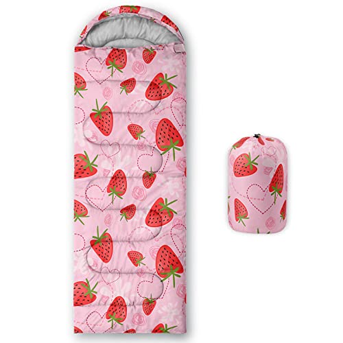 Strawberry 1
