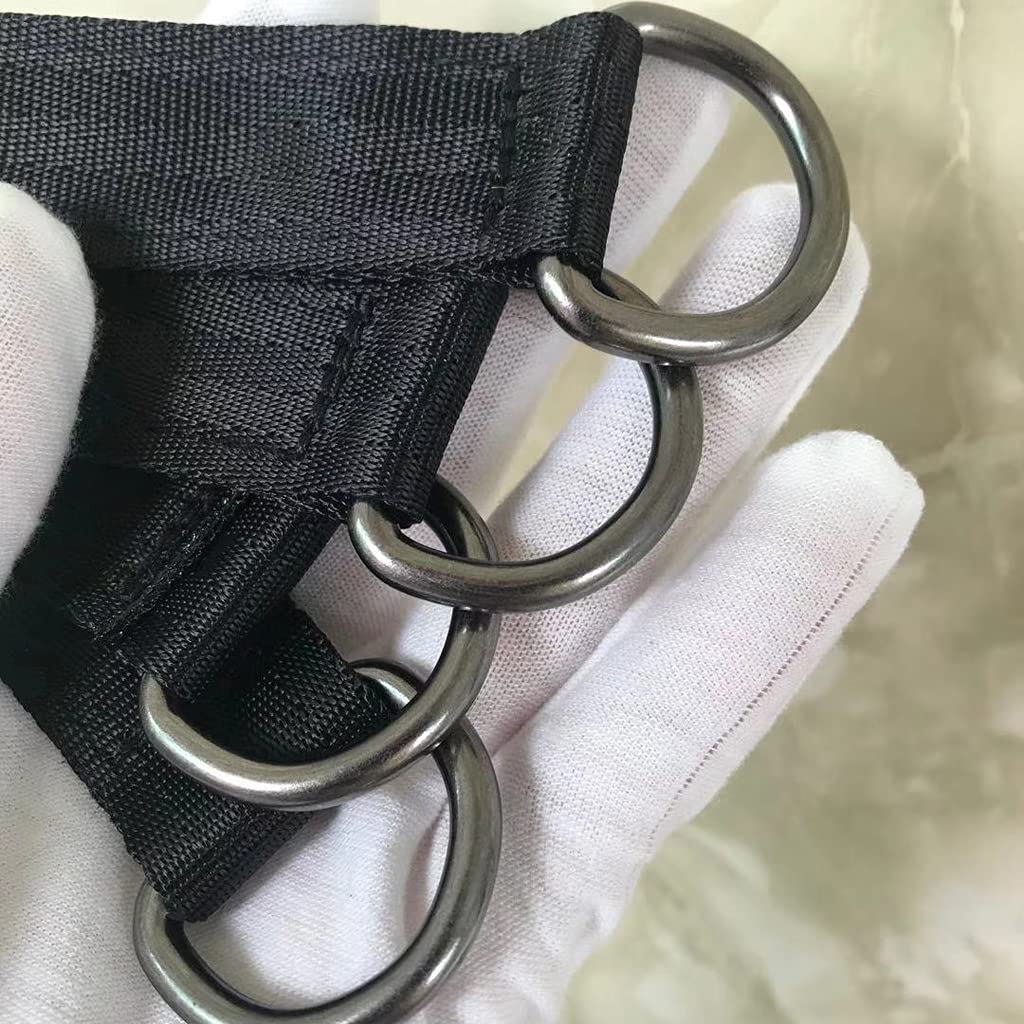 Heavy Duty Hammock Straps for Trees - 2 Pack Swing Hanging Kit with Carabiner, 440lbs Capacity - Perfect for Hammocks, Swing Chairs & Exercise Pulleys - Ideal for Camping, Backyard Relaxation & Outdoor Adventures